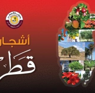 lusailnews