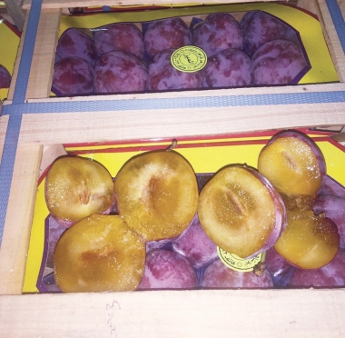 lusailnews
