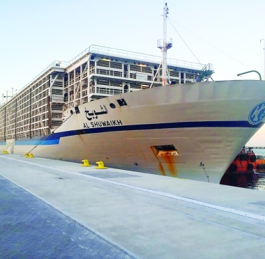 lusailnews