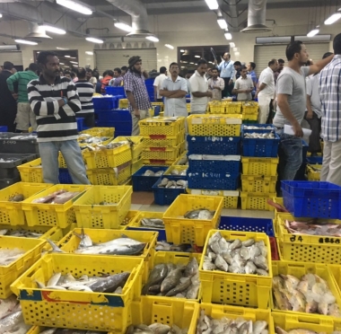 lusailnews