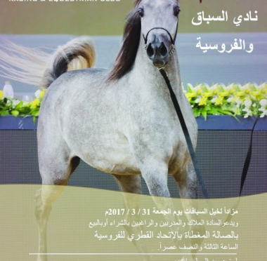 lusailnews