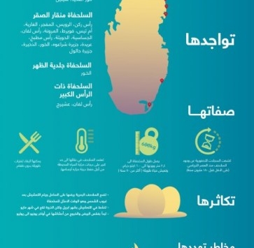 lusailnews