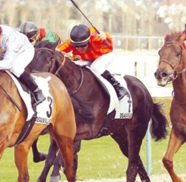 lusailnews