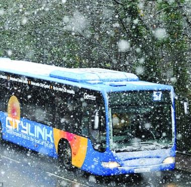 lusailnews