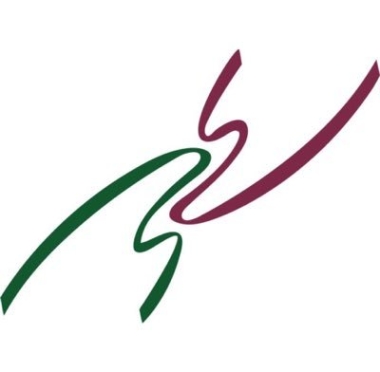 lusailnews