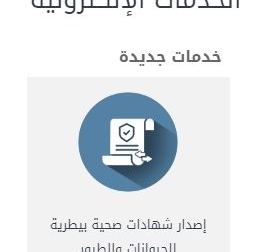 lusailnews