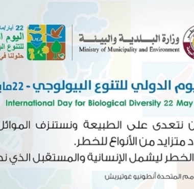 lusailnews