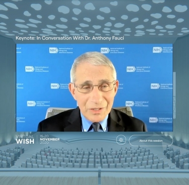 lusailnews