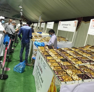 lusailnews