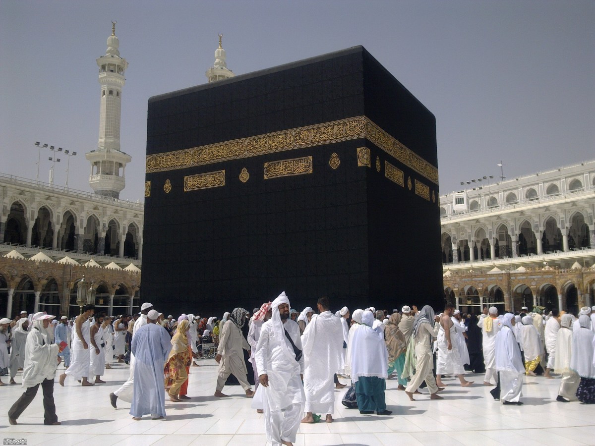 لوسيل