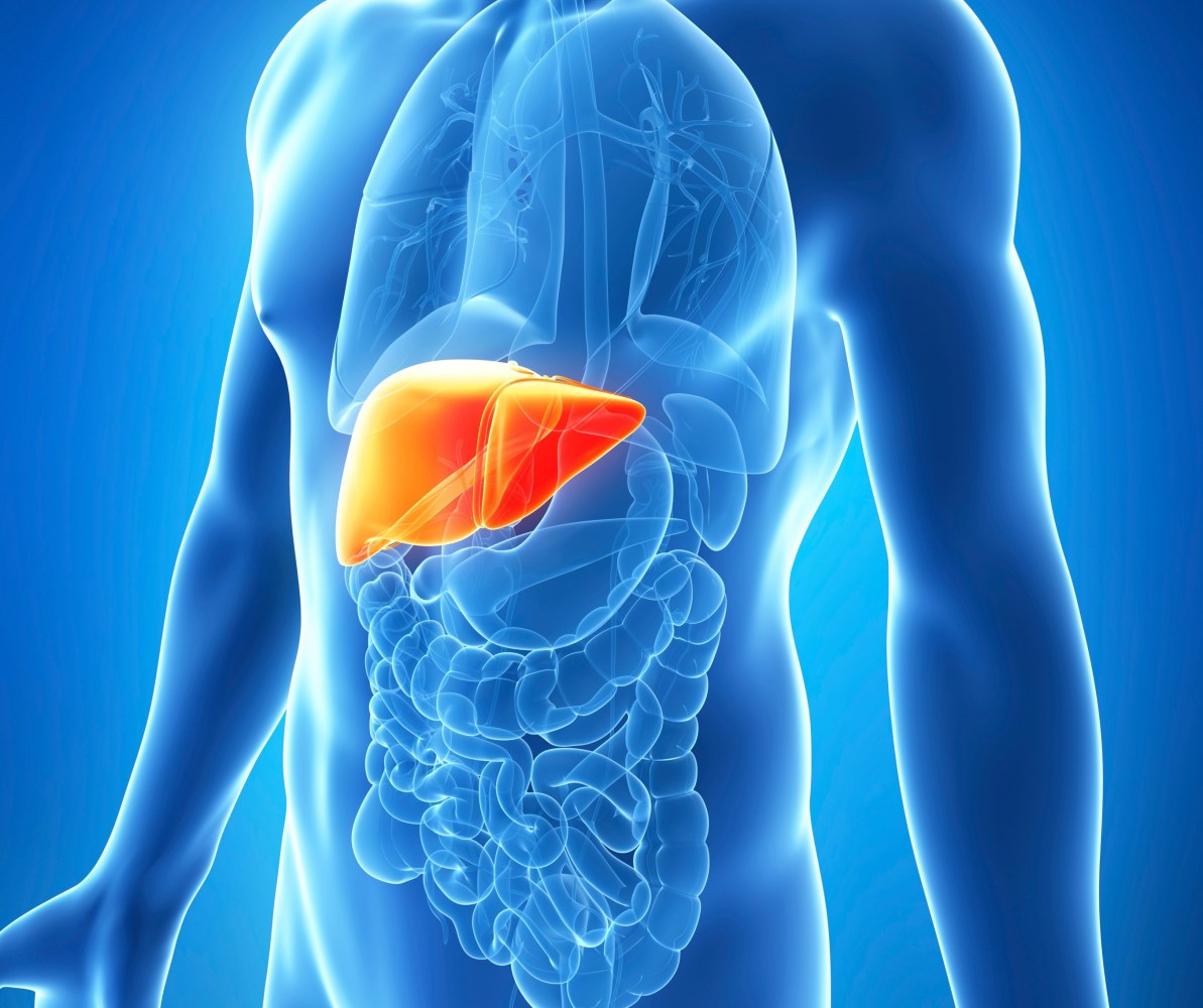 لوسيل
