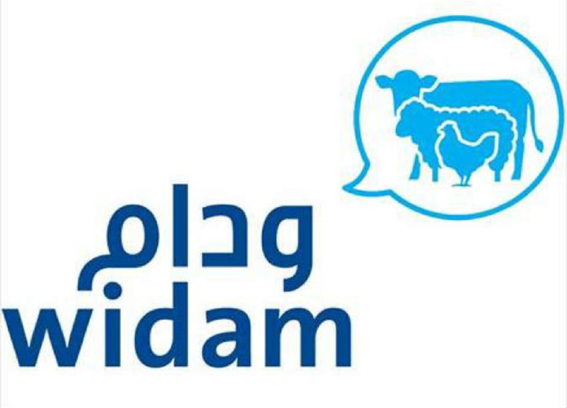 لوسيل