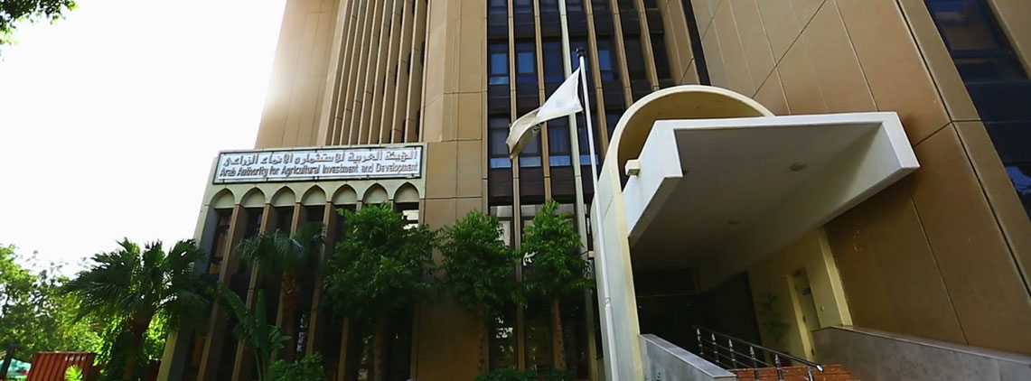لوسيل