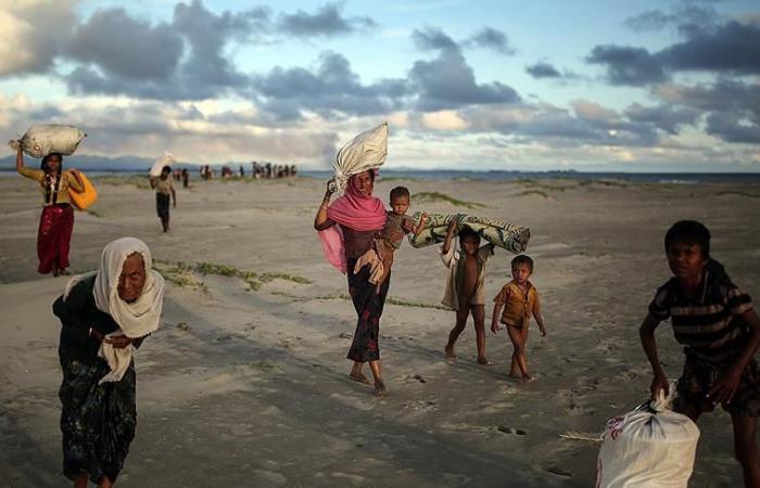 لوسيل