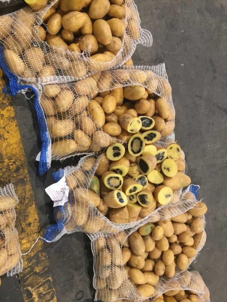 لوسيل