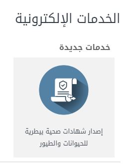لوسيل