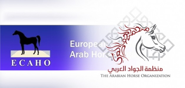 لوسيل