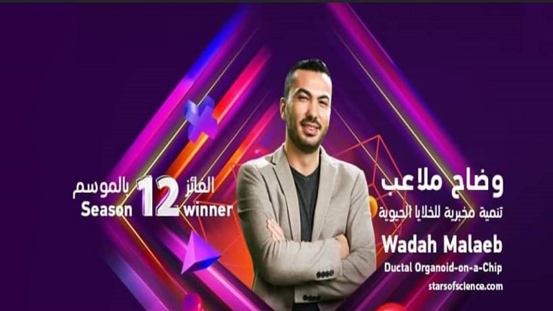 لوسيل
