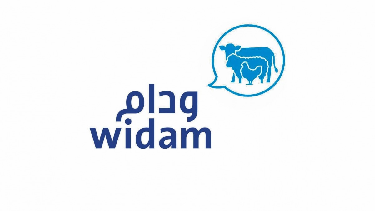 لوسيل