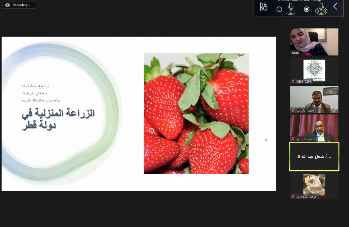 لوسيل