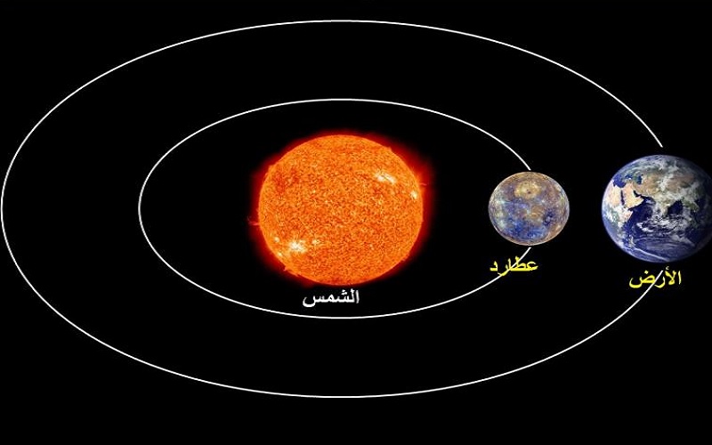 لوسيل