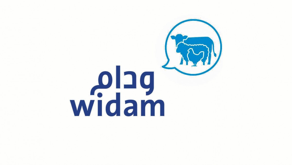 لوسيل