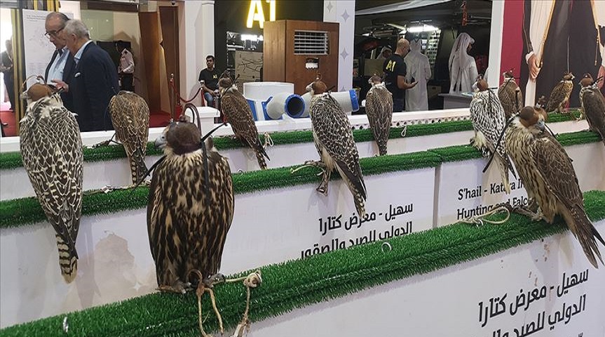 لوسيل