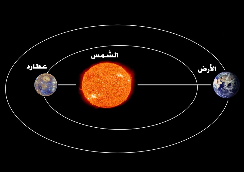 لوسيل