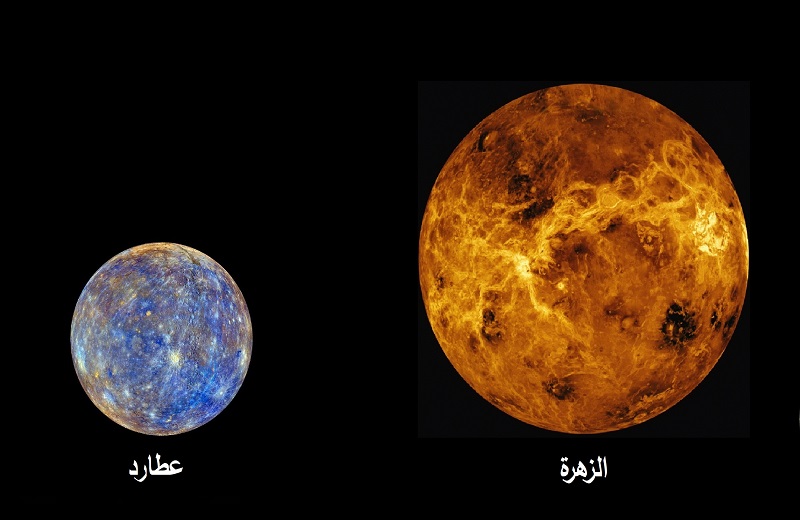 لوسيل