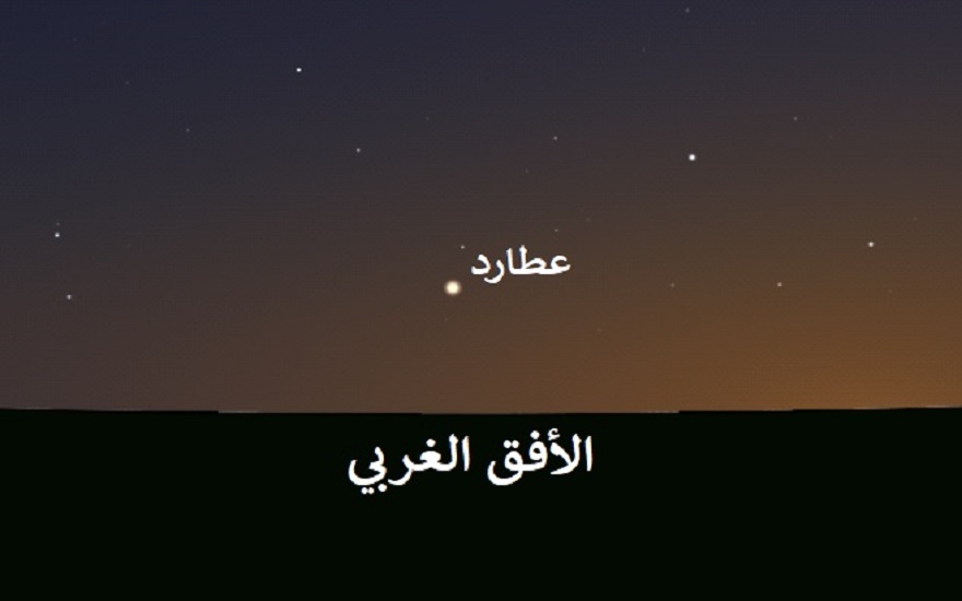 لوسيل