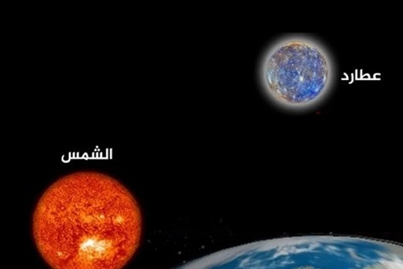 لوسيل