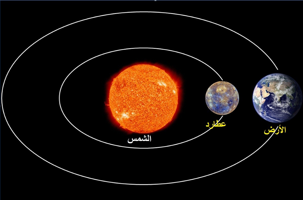 لوسيل